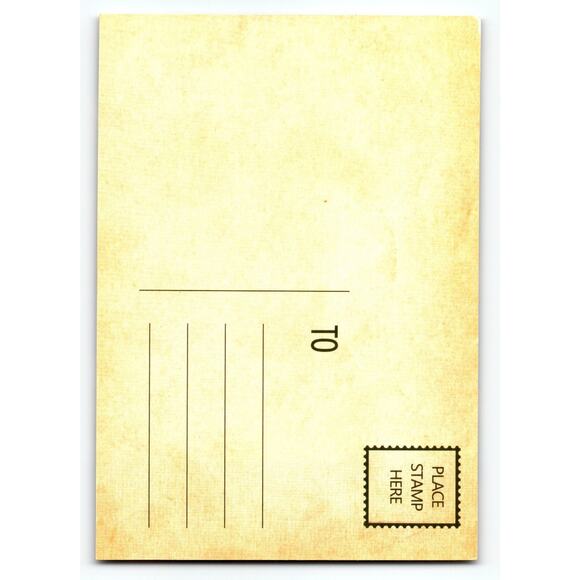 Vintage Halloween Witch Hat Jack-O-Lantern Postcard Photochrome 6x4 - Picture 2 of 2